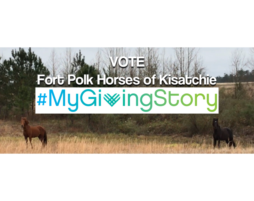 Vote for Fort Polk Horses #MyGivingStory